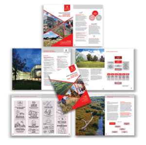corporateplandesign,annualreportdesign,infographic, imfographicillustration