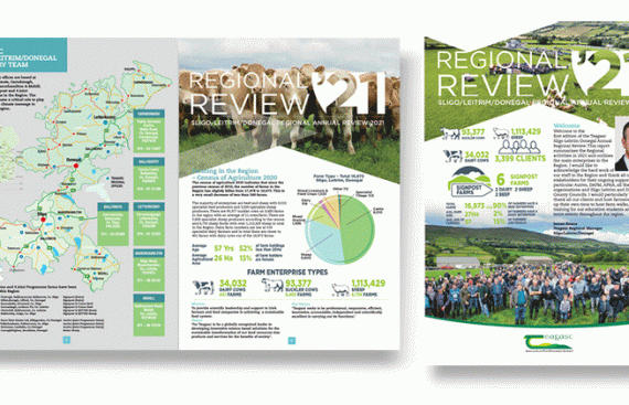 annual report design, agricultutre infographics